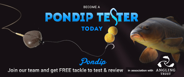 pondip1