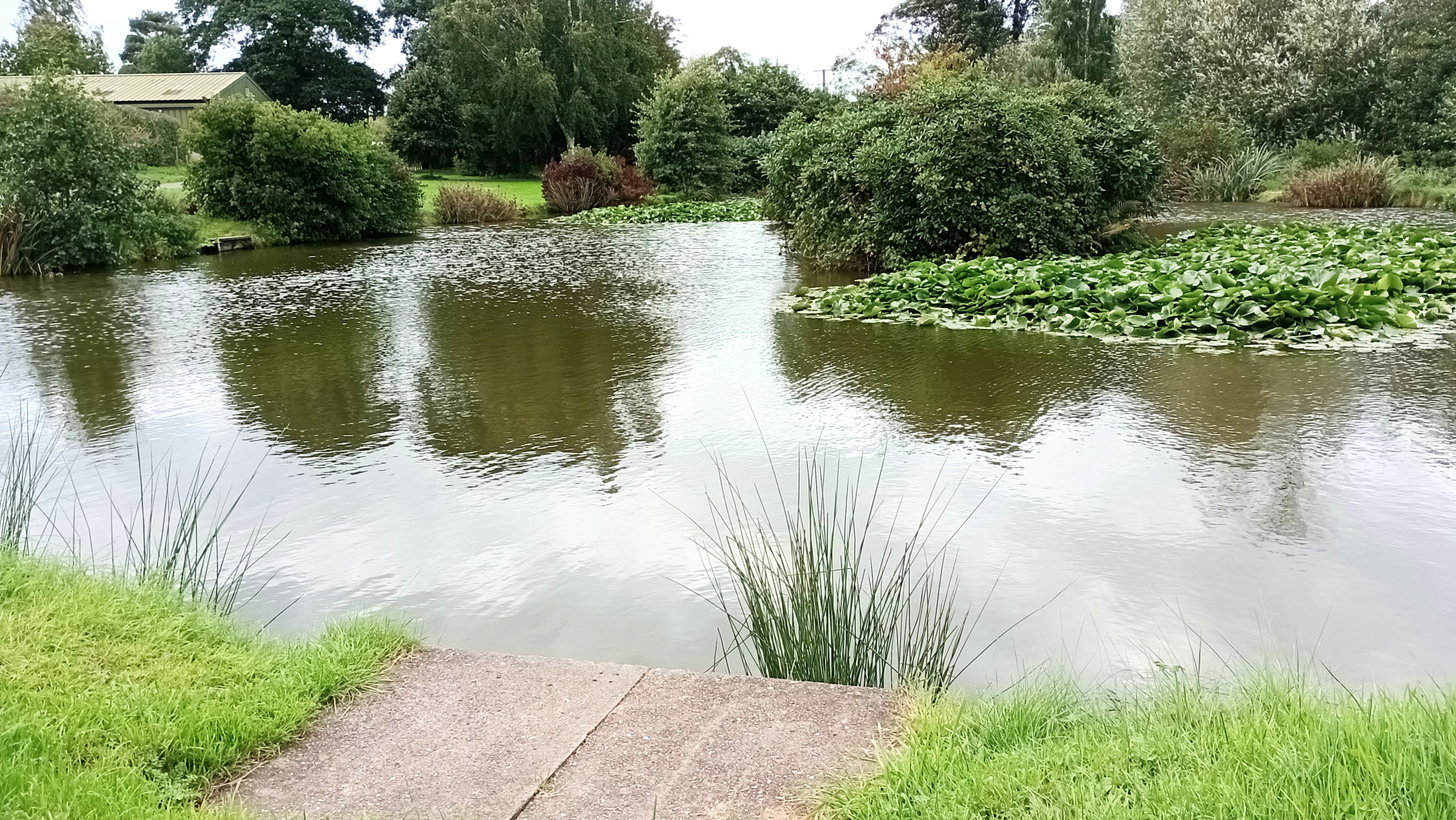 IMG_20230924_160944473_MFNR~2